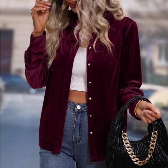 Luxe Velvet Button Down Shirt Top Blouse Rust - Picture 9 of 17